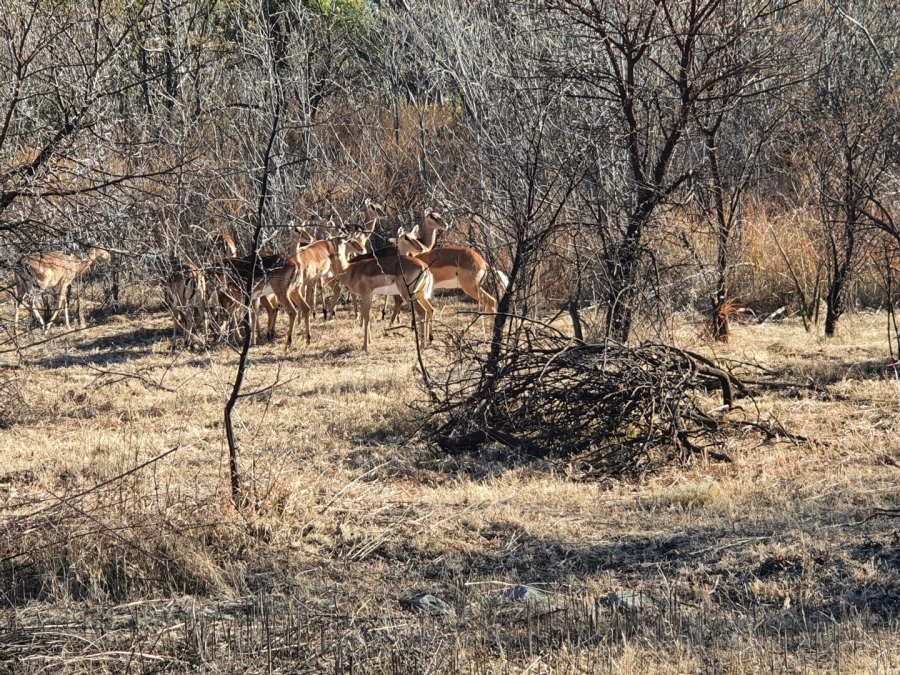 3 Bedroom Property for Sale in La Camargue Private Country Estate North West